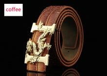 Load image into Gallery viewer, 2019 Designer Belts